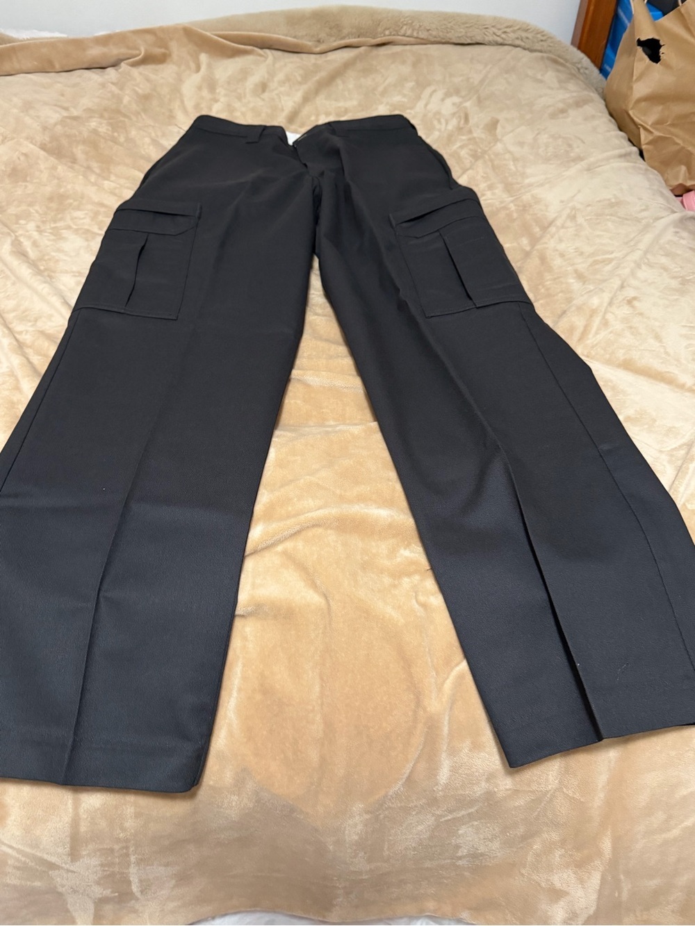 NWT Men's Dickie’s Cargo Pants - Versatile Workwear 30x30